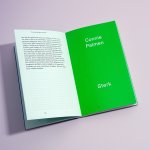 De verbindingskunstenaar – Connie Palmen