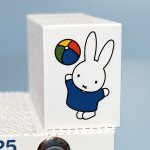 Nijntje met strandbal